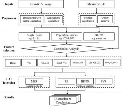 Accurate leaf area index estimation for Eucalyptus grandis using machine learning method with GF-6 WFV—A case study for Huangmian town, China